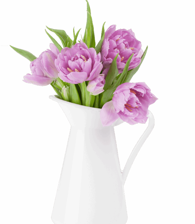 pink-tulips-bouquet-D5TCQEK1-1