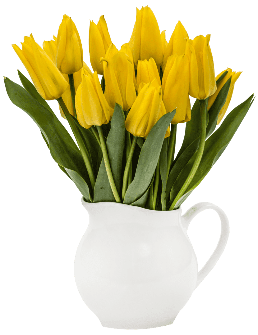 bouquet-from-yellow-tulips-in-vase-isolated-on-P5NAMRT-copy